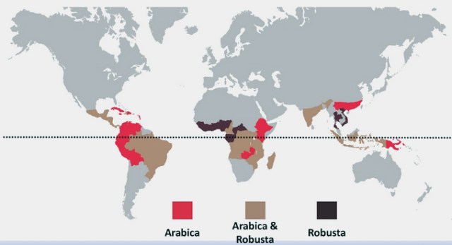 ArabicaRobusta2a_zps7b520b21