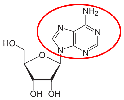 a4fcdd05f304c9d49384334f4edfe490